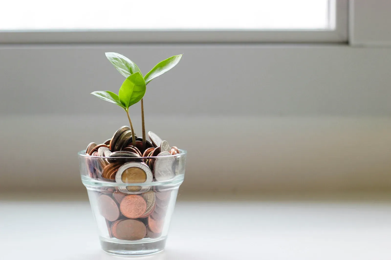 A glass jar filled with coins and a small green plant growing from the top — saving and planning for the cost of care